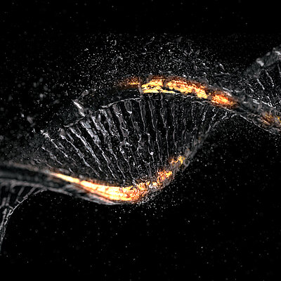 3D animation of Dark DNA